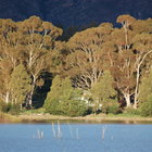 THEEWATERSKLOOF DAM BASKS IN THE LATE AFTERNOON LIGHT - Villiersdorp Tourism - Xplorioâ„¢ Villiersdorp